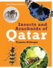 Image for Insects and Arachnids of Qatar