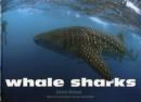 Image for Whale Sharks