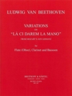 Image for VARIATIONS ON L CI DAREM LA MANO FROM MO