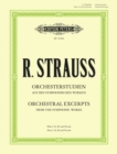 Image for Orchestral Studies for Flute