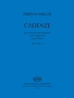 Image for Cadenze per il concerto per pianoforte in Re maggiore di Joseph Haydn