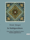 Image for In Stahlgewittern