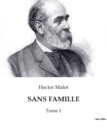 Image for Sans Famille : Tome 1