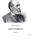 Image for Sans Famille : Tome 2