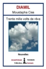 Image for Trente Mille Volts De Reve: Recueil De Nouvelles