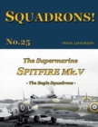 Image for The Supermarine Spitfire Mk. V : The Eagle Squadrons