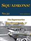 Image for The Supermarine Spitfire Mk V : The Norwegians