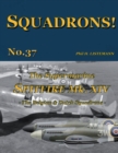 Image for The Supermarine Spitfire Mk XIV : The Belgian and Dutch Squadrons