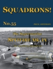 Image for The Supermarine Spitfire Mk IX : The Auxiliary squadrons
