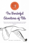 Image for Wonderful Adventures of Nils
