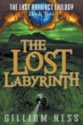 Image for The Lost Labyrinth