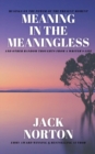 Image for Meaning In The Meaningless : Musings on the Power of the Present Moment and Other Random Thoughts from a Writer&#39;s Life