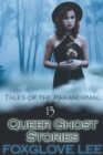 Image for 13 Queer Ghost Stories