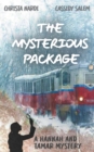Image for The Mysterious Package