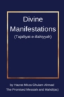 Image for Divine Manifestations