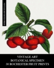Image for Vintage Art : Botanical Specimen: 30 Rochester Fruit Prints: Pomology Ephemera for Framing, Decor and Reference