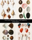 Image for Vintage Molluscs and Shell Ephemera : Conchology Decorative Paper for Collages, Decoupage and Junk Journals