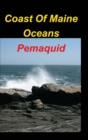 Image for Coast Of Maine Oceans Pemaquid : Maine Oceans Views Land Rocks WavesSeas
