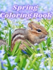 Image for Spring Coloring Book