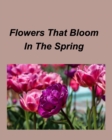 Image for Flowers That Bloom In The Spring : Gardens Flowers Spring Seasons Colorful Plants