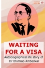 Image for Waiting for a Visa