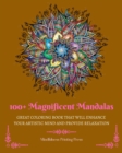 Image for 100+ Magnificent Mandalas