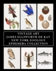 Image for Vintage Art : James Ellsworth De Kay: New York Zoology: Ephemera Collection