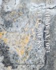 Image for LAIR W pX 073 Salt Cracks