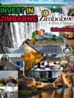 Image for INVEST IN ZIMBABWE - Visit Zimbabwe - Celso Salles : Invest in Africa Collection