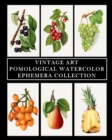 Image for Vintage Art : Pomological Watercolor: Ephemera Collection: Botanical Fruit Prints