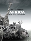 Image for WILD ANIMALS - Arica in Black and White