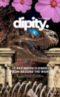 Image for Dipity Literary Mag Issue #2 (Jurassic Ink Rerun Official Edition)