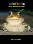 Image for Wild Florida : Insects, Amphibians and Reptiles