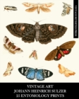 Image for Vintage Art : Johann Heinrich Sulzer: 25 Entomology Prints: Insect Ephemera for Framing, Home Decor, and Collages