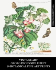 Image for Vintage Art : Georg Dionysius Ehret: 20 Botanical Fine Art Prints: Floriculture and Entomology Ephemera for Framing