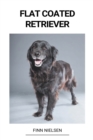 Image for Flat Coated Retriever