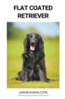 Image for Flat Coated Retriever