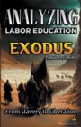 Image for Analyzing the Teaching of Labor in Exodus : From Slavery to Liberation