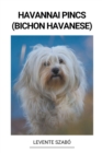 Image for Havannai Pincs (Bichon Havanese)