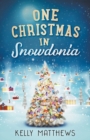 Image for One Christmas in Snowdonia
