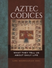 Image for Aztec codices: what they tell us about daily life