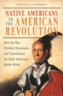 Image for Native Americans in the American Revolution: How the War Divided, Devastated, and Transformed the Early American Indian World