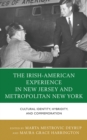 Image for The Irish Experience in New Jersey and Metropolitan New York: Cultural Identity, Hybridity, and Commemoration