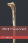 Image for Peril Envisioned