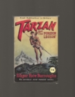 Image for Tarzan and the Foreign Legion