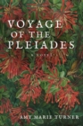Image for Voyage of the Pleiades