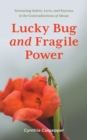 Image for Lucky Bug and Fragile Power: Inventing Safety, Love, and Success in the Contradictions of Abuse