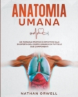 Image for Anatomia Umana