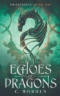 Image for Echoes of Dragons