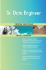 Image for Sr. Data Engineer Critical Questions Skills Assessment